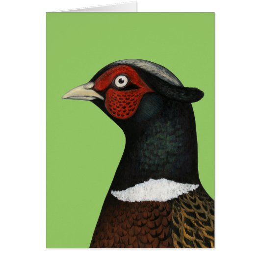 Ringneck Pheasant Head (Front)