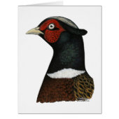 Ringneck Pheasant Head (Front)