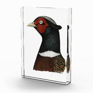 Ringneck Pheasant Head Acrylic Award