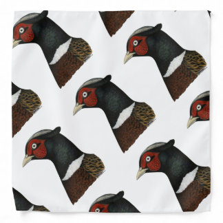 Ringneck Pheasant Head Bandana