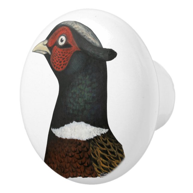 Ringneck Pheasant Head Ceramic Knob (Right)