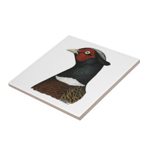 Ringneck Pheasant Head Ceramic Tile
