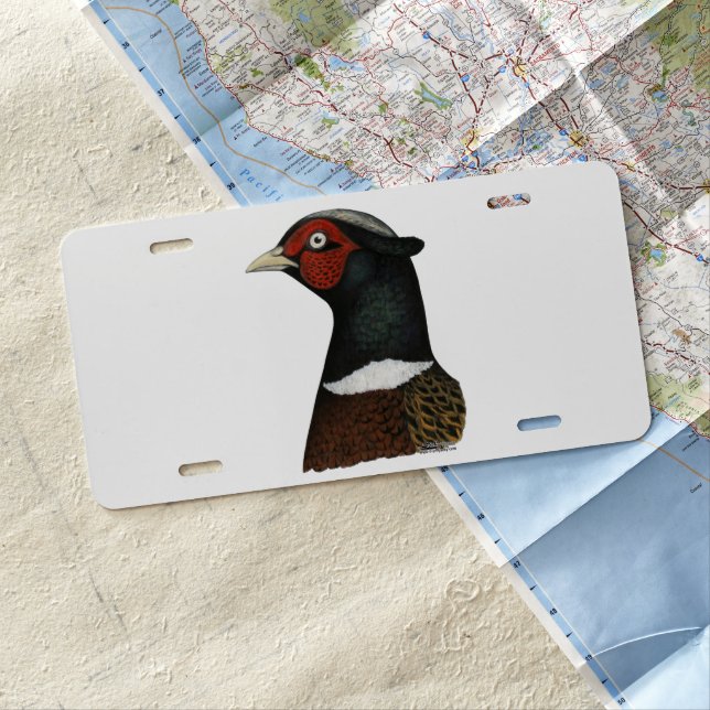 Ringneck Pheasant Head License Plate (In Situ)