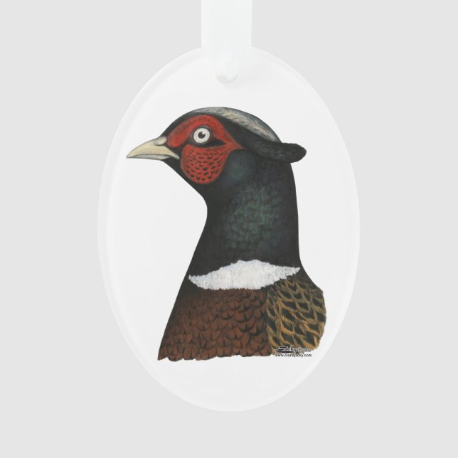 Ringneck Pheasant Head Ornament (Front)