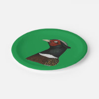 Ringneck Pheasant Head