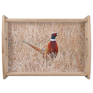 Ringneck Pheasant Large Serving Tray