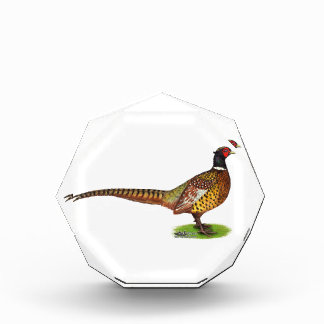 Ringneck Pheasant Rooster Acrylic Award