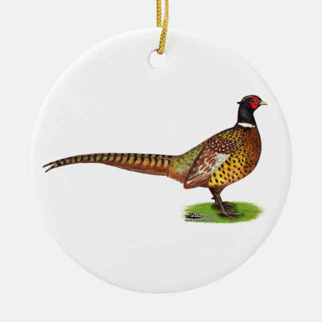 Ringneck Pheasant Rooster Ceramic Ornament (Front)