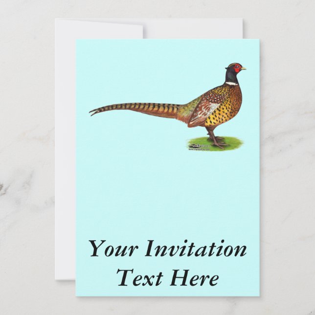 Ringneck Pheasant Rooster Invitation (Front)