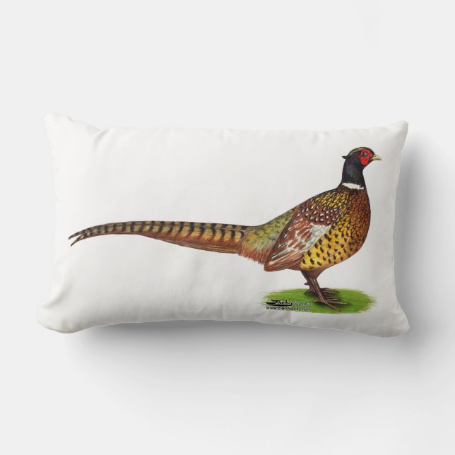 Ringneck Pheasant Rooster Lumbar Pillow (Front)