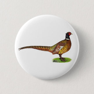 Ringneck Pheasant Rooster Pinback Button