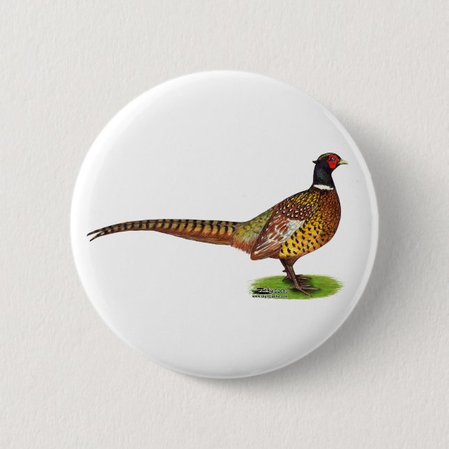 Ringneck Pheasant Rooster Pinback Button (Front)