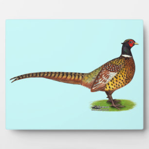 Ringneck Pheasant Rooster Plaque