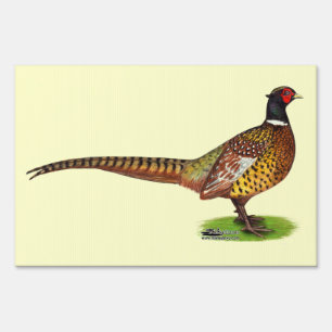 Ringneck Pheasant Rooster Sign