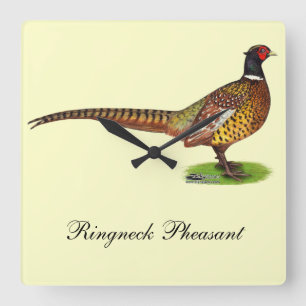 Ringneck Pheasant Rooster Square Wall Clock