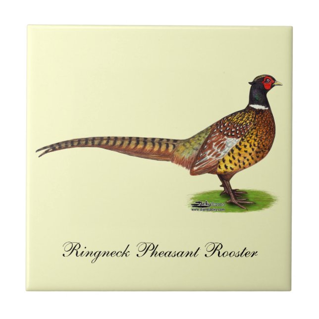 Ringneck Pheasant Rooster Tile (Front)