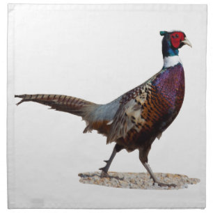 Ringnecked Pheasant Cloth Napkin