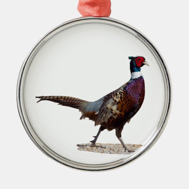 Ringnecked Pheasant Metal Ornament (Front)