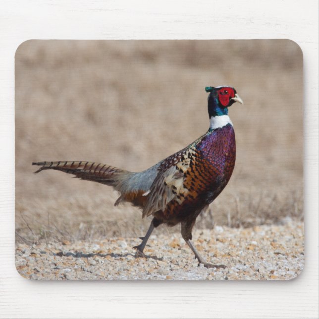 Ringnecked Pheasant Mouse Pad (Front)