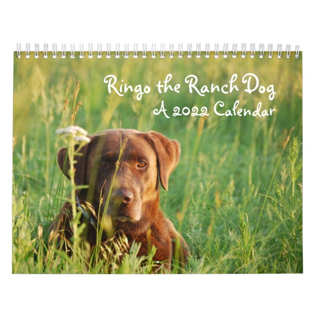 Ringo the Chocolate Lab Calendar (Cover)