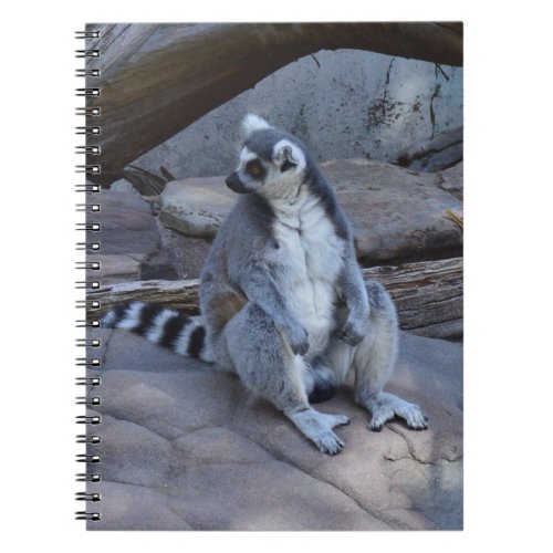 Ringtail Possum Foreman At Work  Notebook