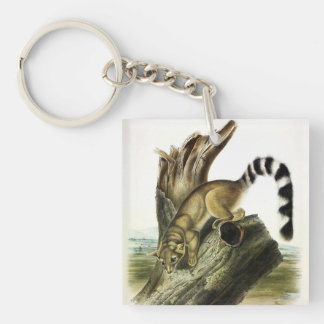 Ringtail (Ring-tailed Bassaris, Ringtailed Cat) Keychain