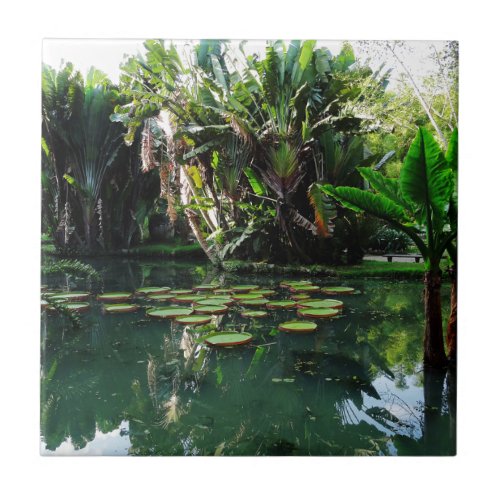 Rio Botanical Garden Ceramic Tile