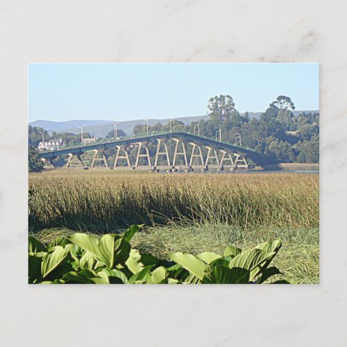 Ro Cruces Bridge Valdivia Chile Postcard