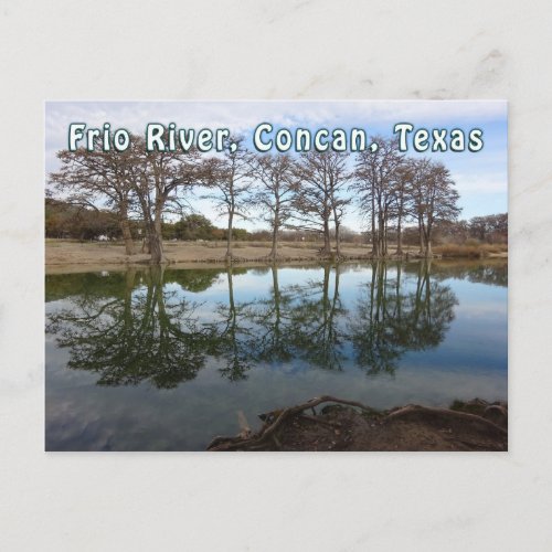 Rio Frio River Concan Texas Garner State Park Postcard