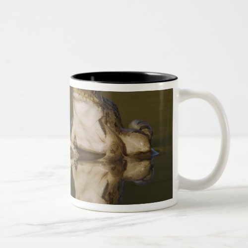 Rio Grande Leopard Frog Rana berlandieri two Two_Tone Coffee Mug