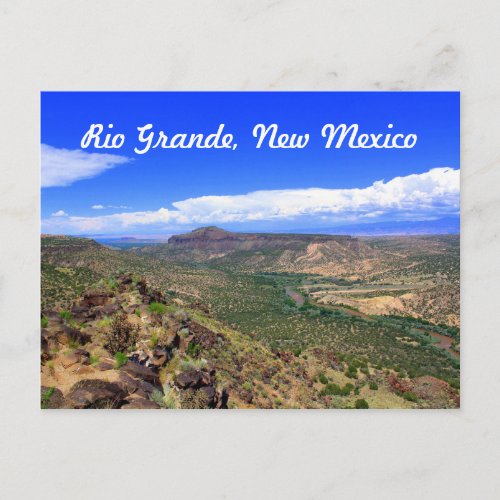 Rio Grande River New Mexico Landscape Postcard