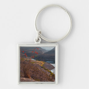Rio Grande Running Through Chihuahuan Desert Keychain