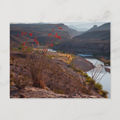 Rio Grande Running Through Chihuahuan Desert Postcard