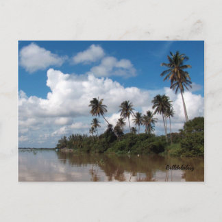 Rio Papaloapan, Veracruz Postcard