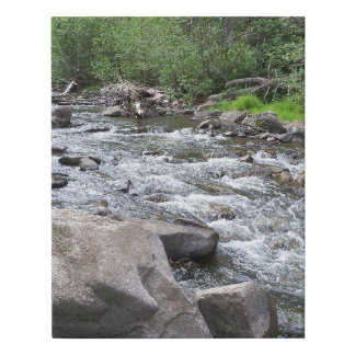 Rio Pueblo Stream in New Mexico Faux Canvas Print
