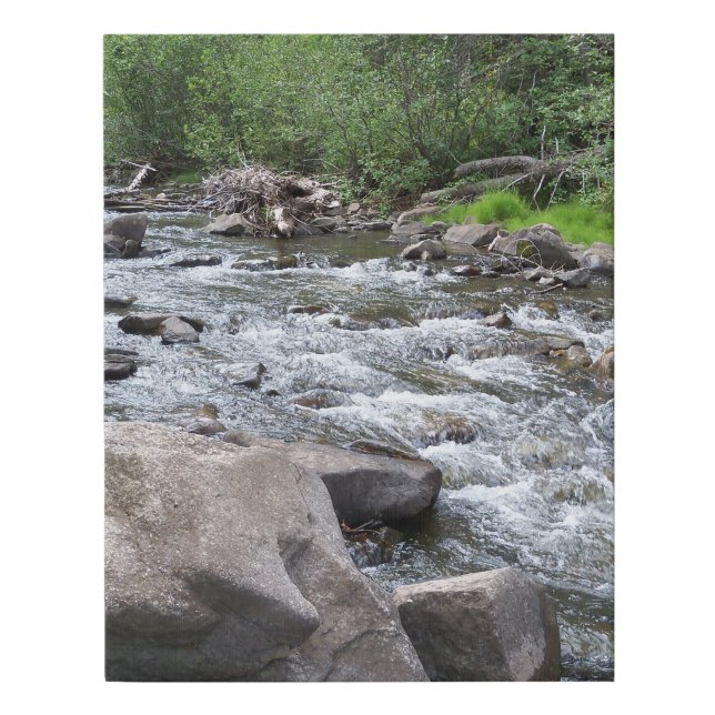 Rio Pueblo Stream in New Mexico Faux Canvas Print (Front)