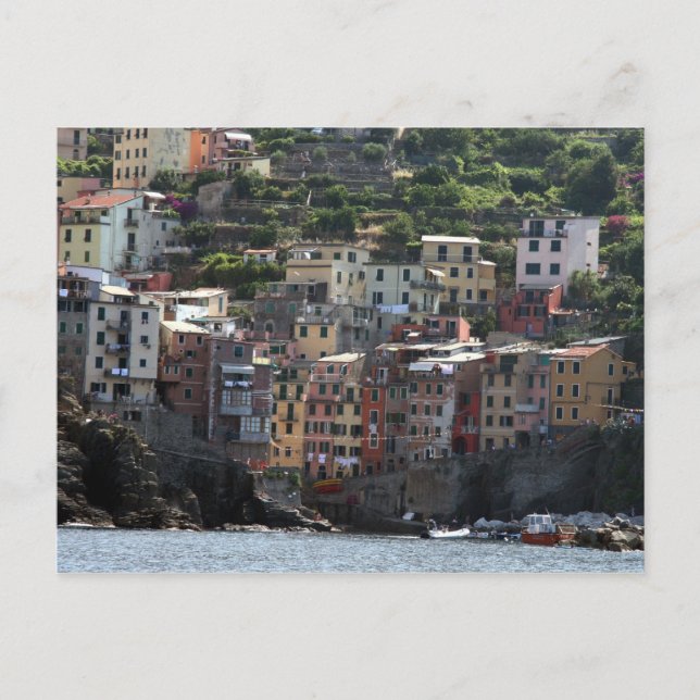riomaggiore harbor postcard (Front)