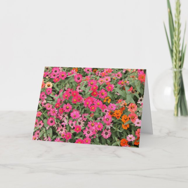 Riotious Pink Card (Front)