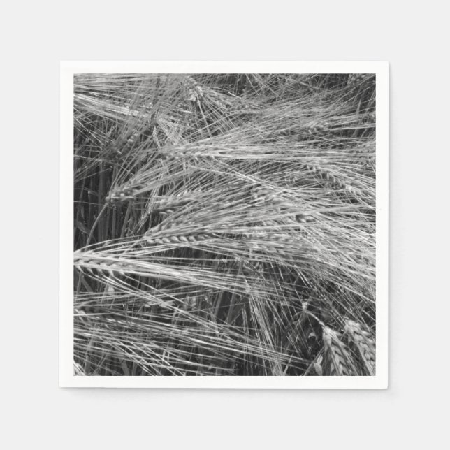 Ripe barley ears (Hordeum vulgare)   Napkins (Front)