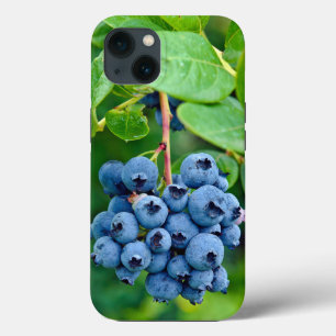 Ripe Blueberries On Bush iPhone 13 Case