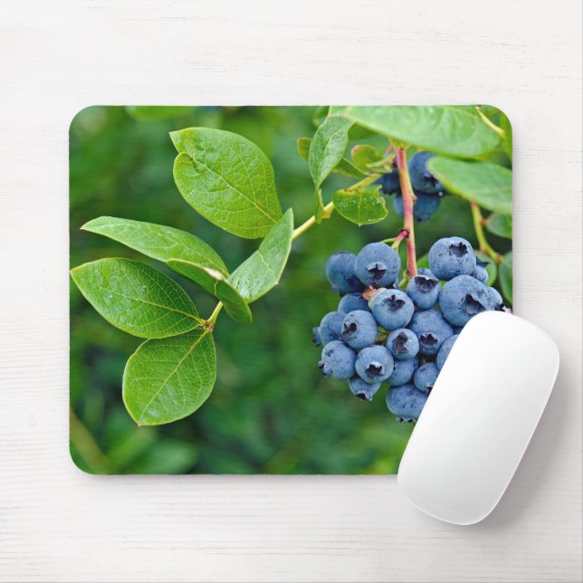 Ripe Blueberries On Bush Mouse Pad (With Mouse)