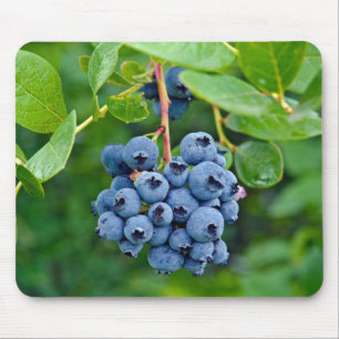 Ripe Blueberry Bush Mouse Pad