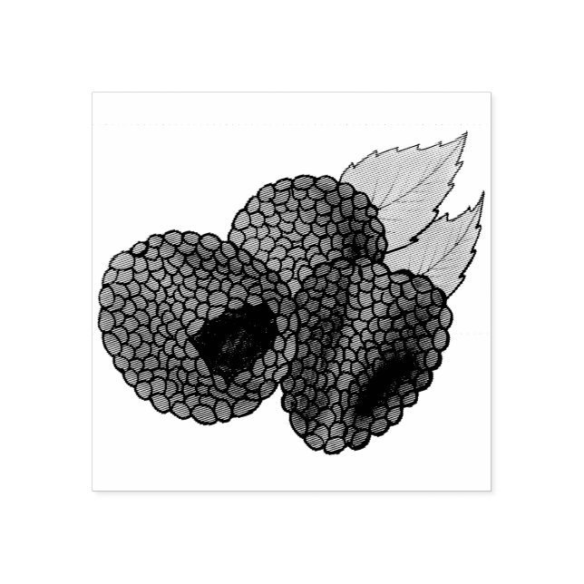 Ripe Fresh Summer Red Raspberries Fruit Berry Rubber Stamp (Imprint)