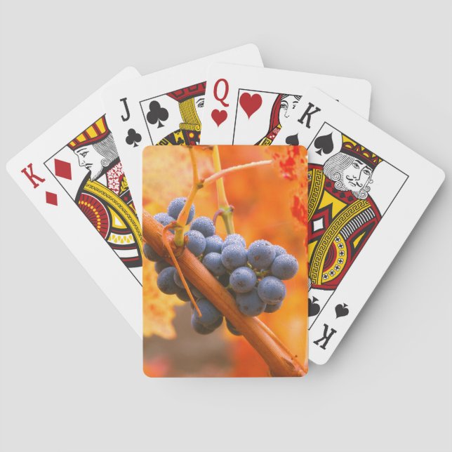 Ripe Grape In Vineyard Poker Cards (Back)