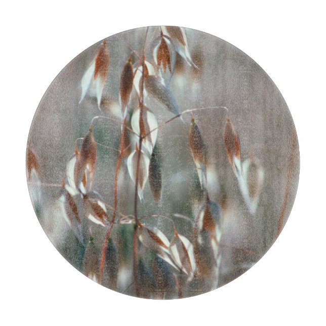 Ripe Oats (Avena Sativa) Close Up. Ceres, Boland Cutting Board (Front)