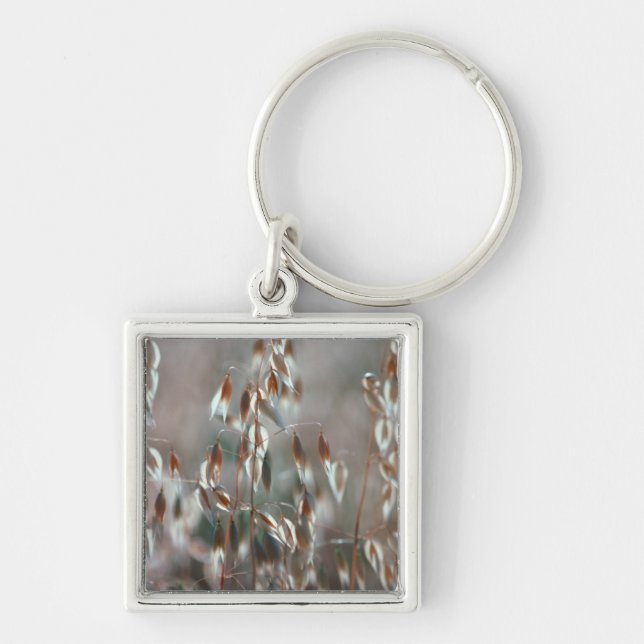 Ripe Oats (Avena Sativa) Close Up. Ceres, Boland Keychain (Front)