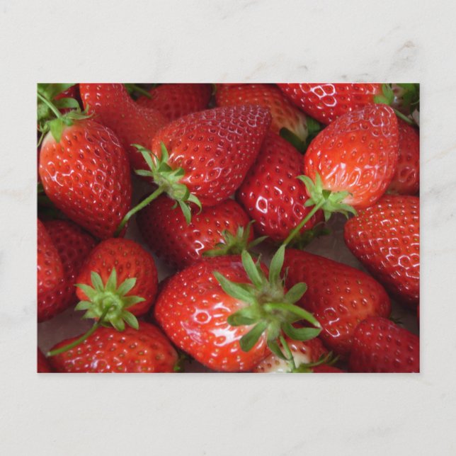 Ripe Strawberries Postcard (Front)