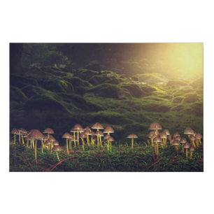 Ripe Wild Mushrooms in the Forest Faux Canvas Print