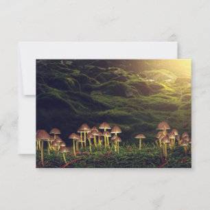 Ripe Wild Mushrooms in the Forest Thank You Card