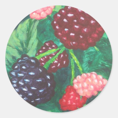 Ripening Blackberries on the Vine Classic Round Sticker